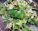 そばの実以外をを食べてみませんか♪作り方1写真