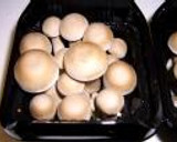 丹波しめじと山くらげの炒め煮作り方4写真