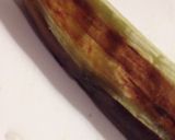 焼きナスのエスニック風サラダ作り方3写真