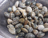 土鍋で♪うちの浅利の炊き込みご飯作り方3写真