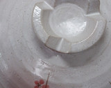 土鍋で♪うちの浅利の炊き込みご飯作り方14写真