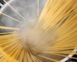 シンプルなトマトソースのパスタ作り方2写真