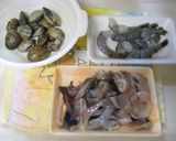 コクと旨味の魚介たっぷり！ブイヤベース作り方2写真