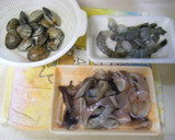コクと旨味の魚介たっぷり！ブイヤベース作り方2写真