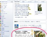 おばあちゃん直伝！簡単☆鶏と白菜の重ね煮作り方6写真