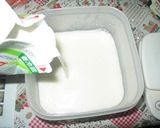 とろとろ濃厚杏仁豆腐作り方8写真