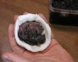 朴葉巻き（ほうばまき）作り方2写真