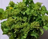 改良版！ヨーグルトソースの菜の花サラダ作り方4写真
