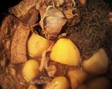 ホクホクじゃがいもと厚揚げ煮物作り方6写真