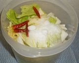 パパの白菜の塩漬け作り方1写真