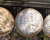 大根の華麗なる変身—切干大根への道作り方7写真