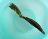 ケンサキイカの炊き込みご飯作り方1写真