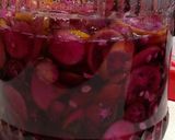 秋の実りの酵素ジュース作り方52写真