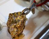 生牡蠣のカクテルソース作り方2写真