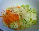 イカの飯寿司作り方1写真