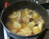 大根と豚肉のピリ辛うま煮作り方7写真