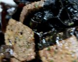 ランチプレート　メインはひじき飯作り方20写真