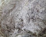 ラフランスのベイクドチーズタルト作り方3写真