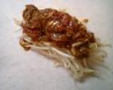 クックパーで超簡単☆豚もやし丼！作り方3写真