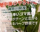 ルッコラとベビーリーフのサラダ作り方2写真