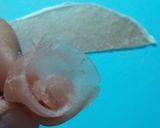 華やかに!生ハムローズの花束作り方5写真
