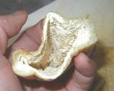 焼き薄揚げ・納豆入り作り方1写真