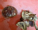 【幸せ！秋味】栗の渋皮煮作り方2写真