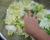 簡単！新食感！白菜のマリネ作り方2写真