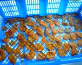 うす～い干柿★柿の大量消費＆長期保存に作り方7写真