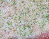 歯ごたえのある牛バラのローストビーフ作り方4写真