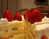 甘さ控えめ♪爽やかXmasケーキby咲色作り方13写真