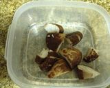 はやとうりと豚ミンチのオイスター味噌炒め作り方3写真