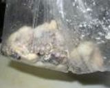 釣った蛸をから揚げに作り方9写真