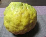 鬼ゆずの砂糖漬け作り方1写真