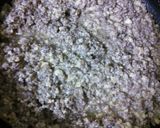 超！簡単肉豆腐作り方2写真