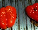 長ネギDEグリーンカレー☆作り方4写真
