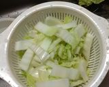 白菜の簡単浅漬け作り方1写真