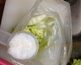 白菜の簡単浅漬け作り方2写真