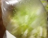 白菜の簡単浅漬け作り方3写真