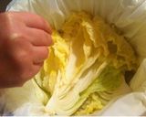 白菜でマイルドキムチ☆リンゴ入り作り方5写真