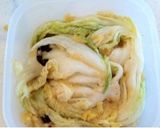 白菜でマイルドキムチ☆リンゴ入り作り方17写真