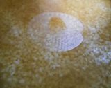 若鶏のこま切れとレンコンの炊き込みご飯作り方8写真
