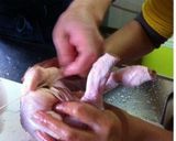 クリスマスに自宅で簡単、鶏の丸焼作り方2写真