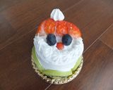 ワンコ（犬）のクリスマスケーキ作り方19写真