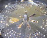おせちにもどうぞ！おしゃれぶり大根作り方6写真