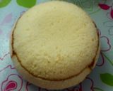 ダブルムースのドームケーキ(ズコット)作り方18写真