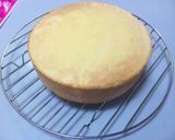 基本のスポンジケーキ作り方10写真