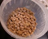 自家製☆カップ納豆作り方12写真