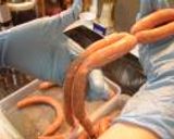 本格手作りソーセージ作り方13写真