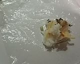 ◆即席＆簡単おもてなし料理♡手まり寿司◆作り方5写真